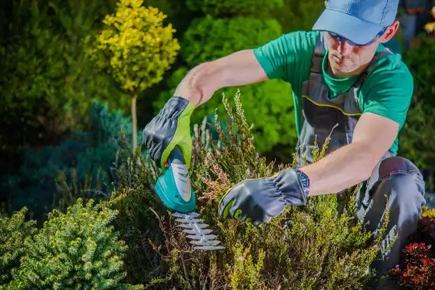 landscaping services Campti